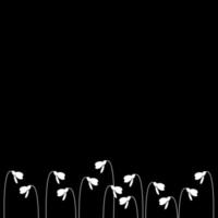Black background with silhouettes of white snowdrops, flat vector, spring background, spring is coming vector