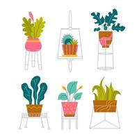 A set of trendy potted plants and flowers for the home. Various houseplants and flowers in stands isolated on white background. Monstera, cactus, strelitzia and oxalis. Color flat vector illustration