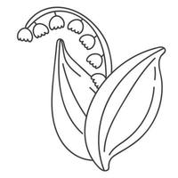 Lily of the valley. Vector illustration of a spring flower