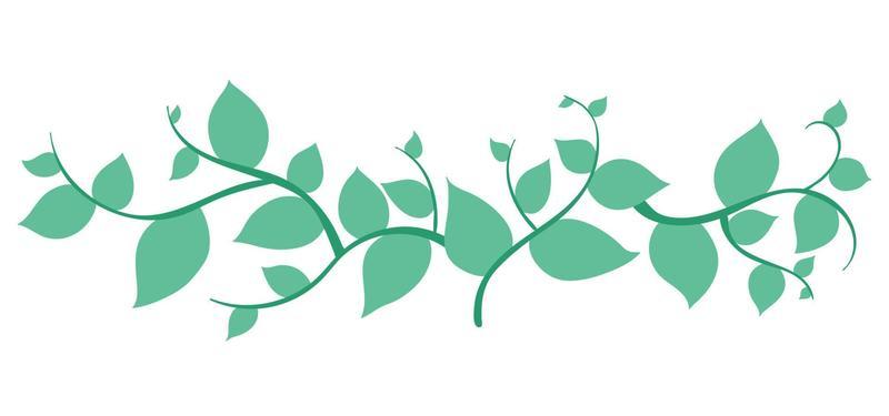 Horizontal banner with tree branch and green lea. For background, footer, or nature design. cartoon hand drawing