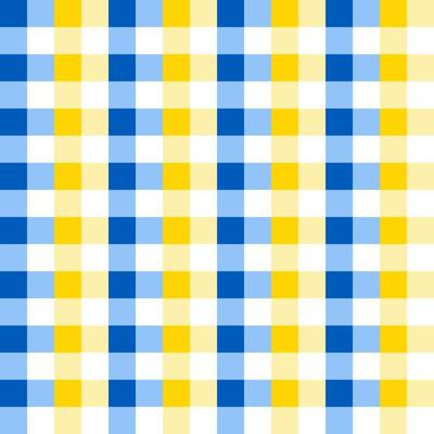 Seamless Colorful Checkered Flannel patterns of square for background.