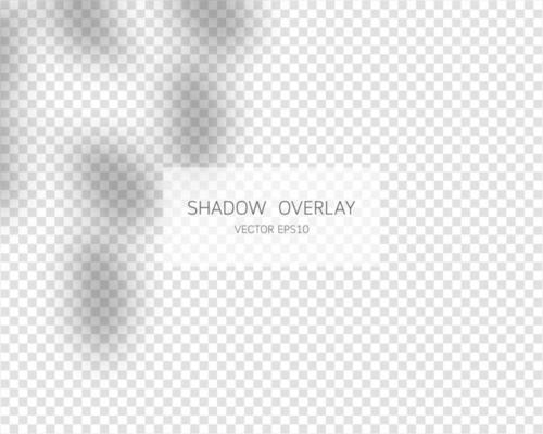 Shadow overlay effect. Natural shadows isolated on transparent background. Vector illustration.