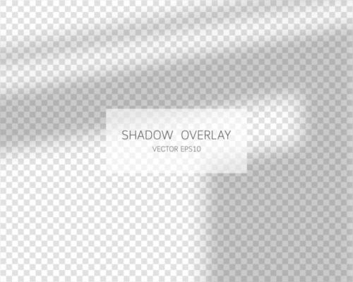 Shadow overlay effect. Natural shadows from window isolated on transparent background. Vector illustration.