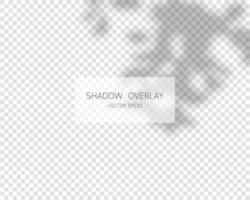 Shadow overlay effect. Natural shadows isolated on transparent background. Vector illustration.