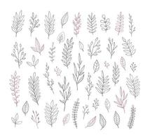 Hand Drawn vintage floral elements. Set of vector branches, leaves, flowers, ribbons, banners. Romantic decorative elements for weddings, invitations.