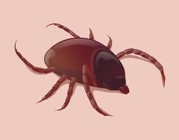 tick isolated on flat skin vector illustration