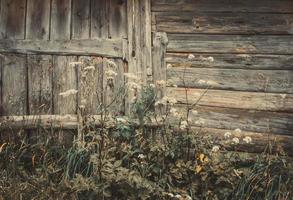 Wooden wall of old barn in the countryside. photo