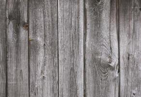 textura de tablero de madera foto