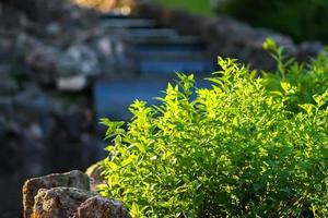 Decorative artificial waterfall in summer park. photo