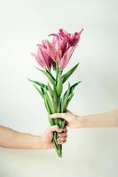 Man gives flowers to woman. Male and female hand holding bouquet on white background photo