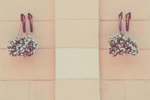 two flower pots hang on beige wall of the building, toned photo