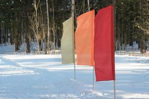 flags on a start position of ski track in a snow forest. winter sports concept. photo