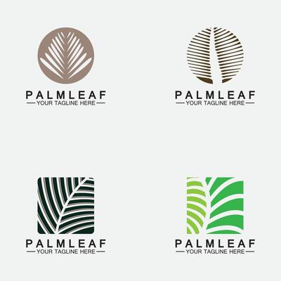 Set Tropical Palm leaf logo vector design template