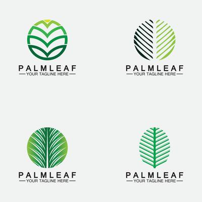 Set Tropical Palm leaf logo vector design template