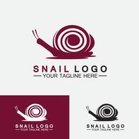 Snail logo template vector icon illustration design