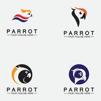 Set Parrot Logo Design Vector Template