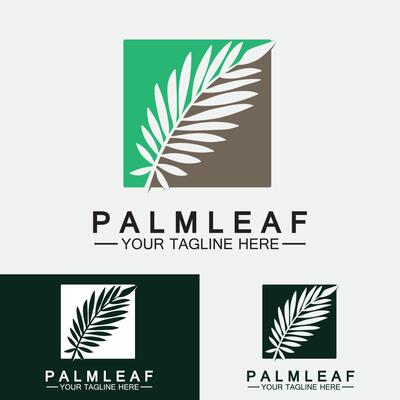 Tropical Palm leaf logo vector design template