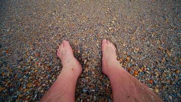 Man feet at seashore with many shells beach video