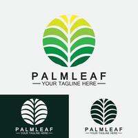 Tropical Palm leaf logo vector design template