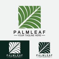 Tropical Palm leaf logo vector design template