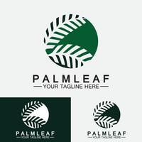 Tropical Palm leaf logo vector design template