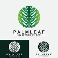 Tropical Palm leaf logo vector design template