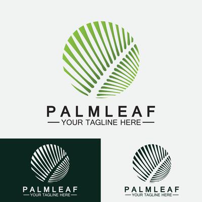 Tropical Palm leaf logo vector design template
