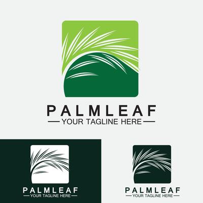 Tropical Palm leaf logo vector design template