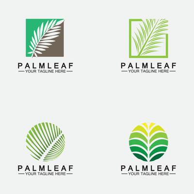 Set Tropical Palm leaf logo vector design template