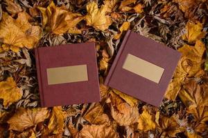 Leather brown book with a gold nameplate on a background of brown leaves. Place for text.  Wedding photo book.