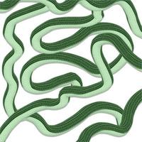 snakes interlacing vector pattern background