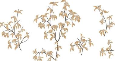 rama con hojas.dibujo a mano alzada conjunto de ramas con hojas y rayas vector