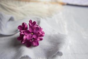 flores violetas lilas sobre una pluma de avestruz blanca. la magia de las flores lilas de cinco pétalos. Bosquejo foto