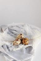 Easter eggs with white feather on white and gray background. Happy Easter holiday, front top view. photo