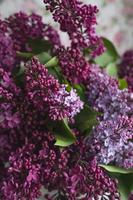 un ramo de lilas. de cerca. hermosas flores violetas. tarjeta de felicitación. Flores de primavera. foto