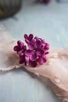 flores violetas lilas sobre una pluma de avestruz blanca. la magia de las flores lilas de cinco pétalos. foto