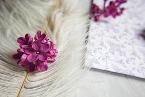 Lilac violet flowers on a white ostrich feather. photo