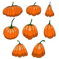 a set of pumpkin of different shapes. vector isolated on a white background.