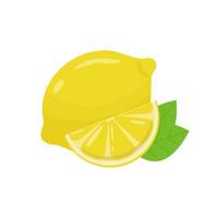 Lemons, four views. Fresh natural lemons, whole, half, slice, wedge vector