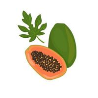 papaya entera con mitad y hoja aislada en fondo blanco vector