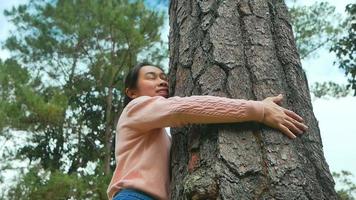 hona kramar ett stort träd i skogen. skydd och kärlek naturkoncept. video