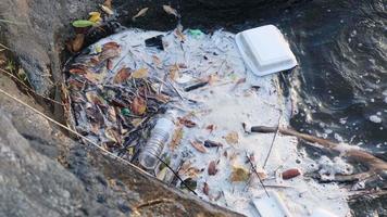 residuos plásticos en el arroyo de montaña en el bosque. problema de contaminacion del agua video