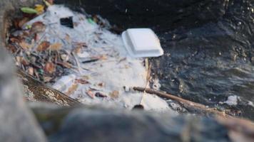 déchets plastiques dans le ruisseau de montagne dans la forêt. problème de pollution de l'eau video