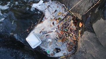 plastic afval in de bergbeek in het bos. watervervuiling probleem video