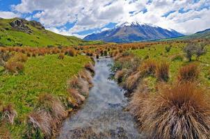 Tiny stream through a mountain meadow photo