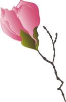 patrones vectoriales de flores de magnolia con ramas y hojas. ilustración botánica para papel tapiz, textil, tela, ropa, papel, postales vector