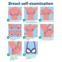 Breast self-test. Phased self breast examination. Mammography vector