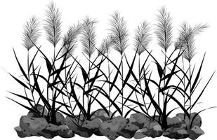 Hand drawn reed or pampas grass surrounded by gray stones. Cane silhouette on white background.  Border or frame of green plants. vector