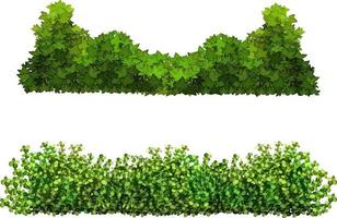 Vector illustration of green bushes.