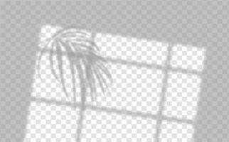 Realistic shadow of tropical leaves or branches on transparent checkered background. The effect of overlaying shadows. Natural light layout. vector